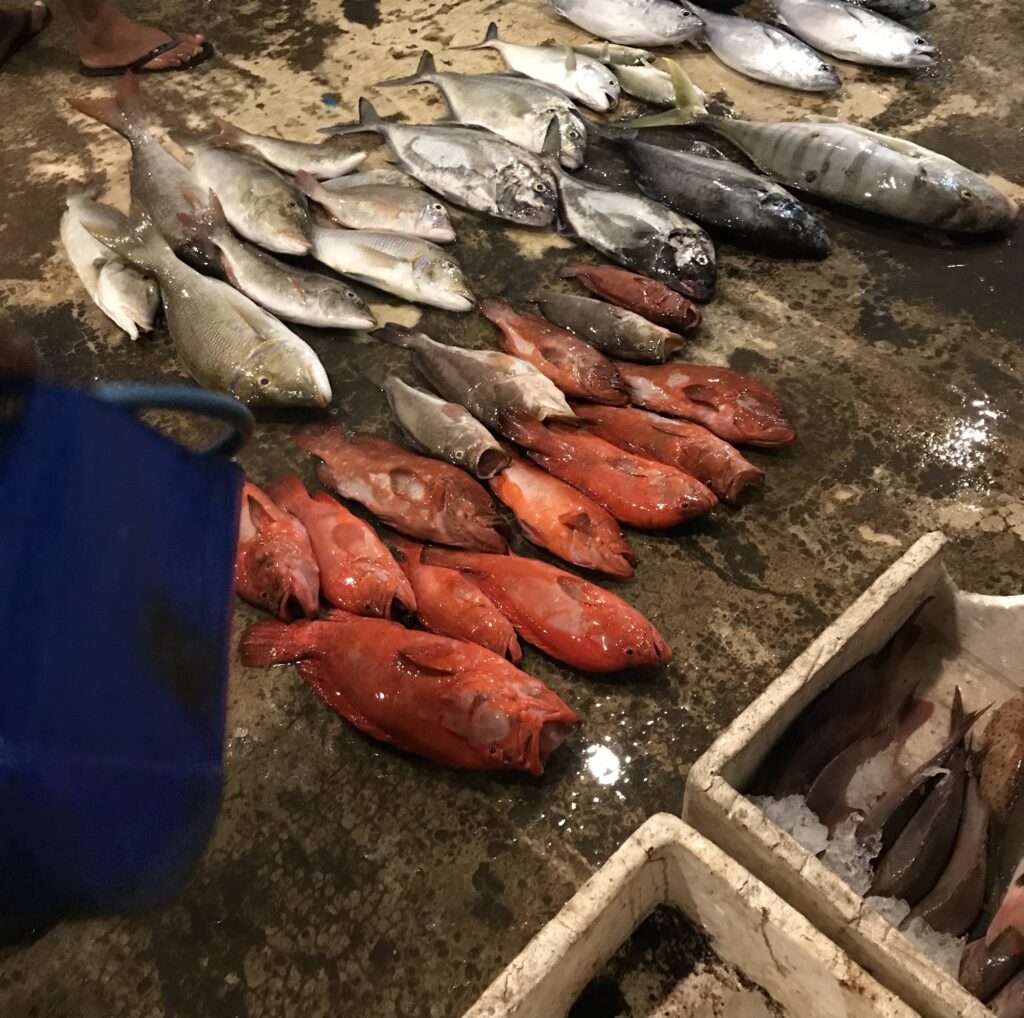 Roar Media Archive Spearfishing Is Illegal In Sri Lanka But That