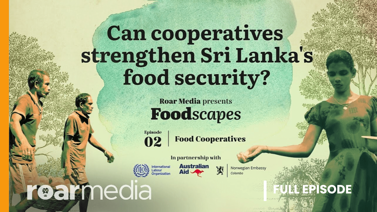 Foodscapes Food Cooperatives Roar Media