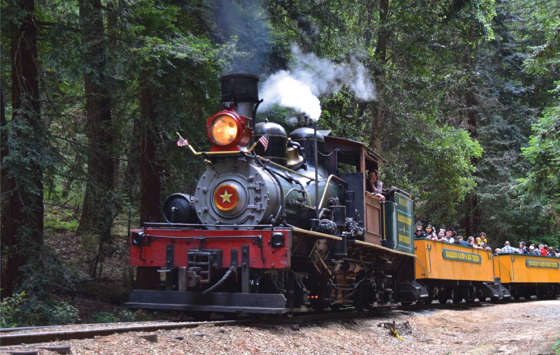 Home Roaring Camp Railroads