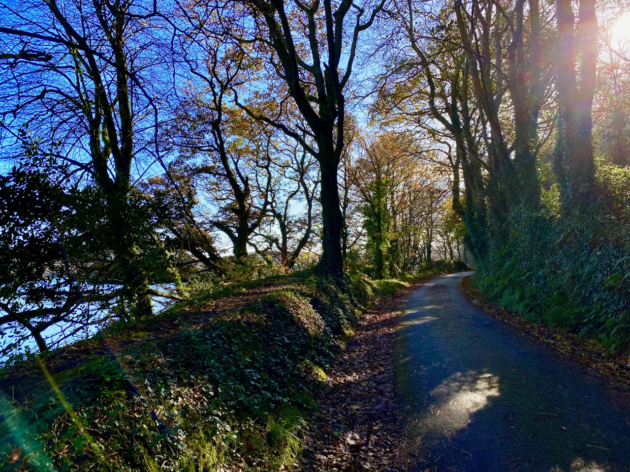 Autumn at Lough Hyne Roaringwater Journal