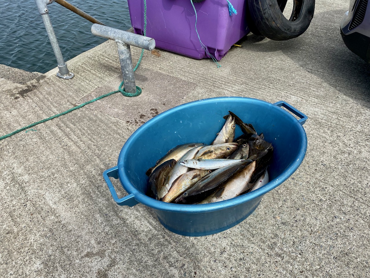 Fish Recipe Roaringwater Journal