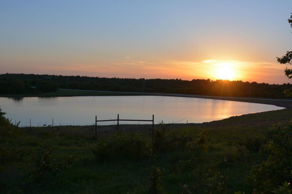 16101 Hiway 75 North, Coalgate , Oklahoma 74538 Roark Ranches