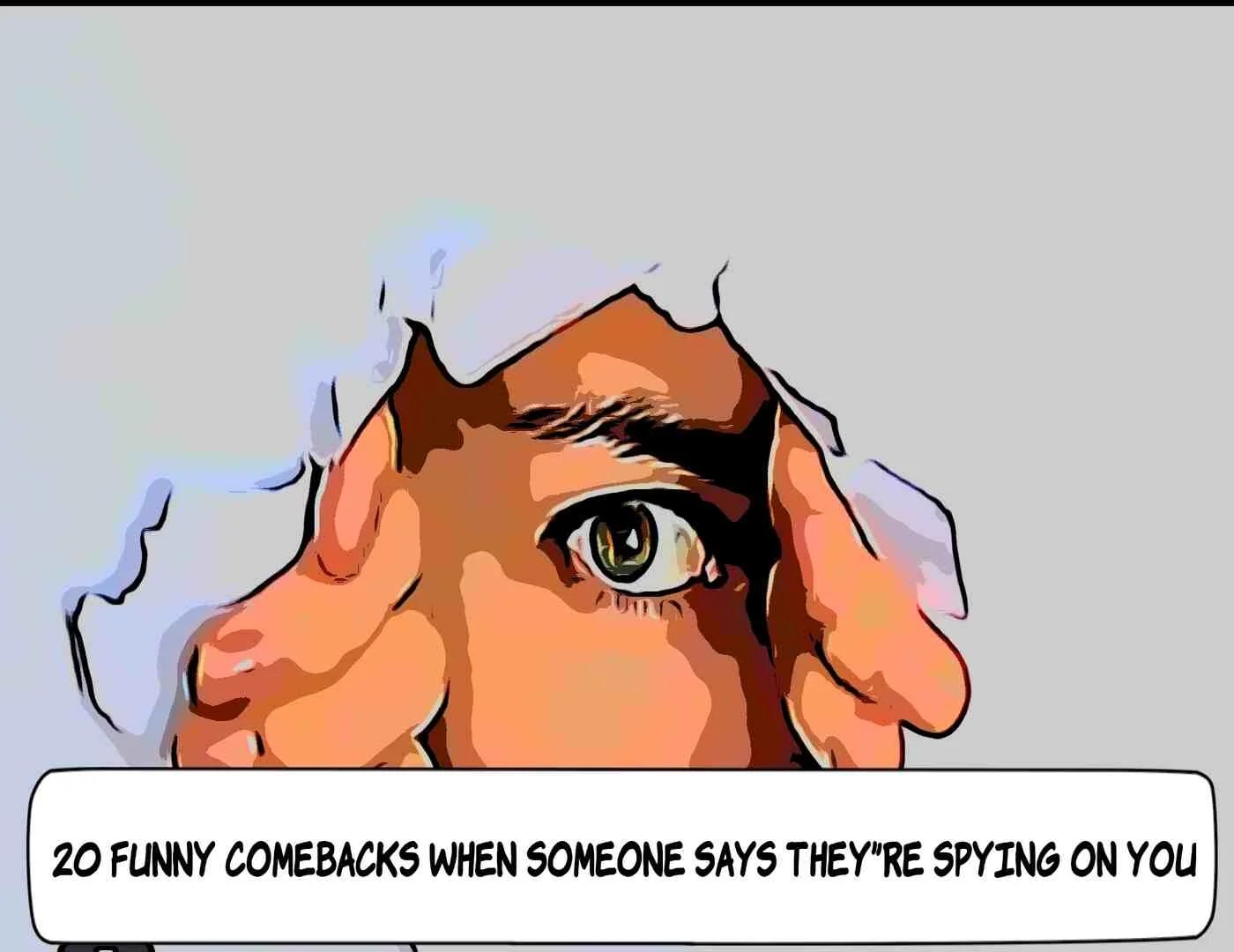20 Funny Comebacks When Someone Says They're Spying on You RoastHow