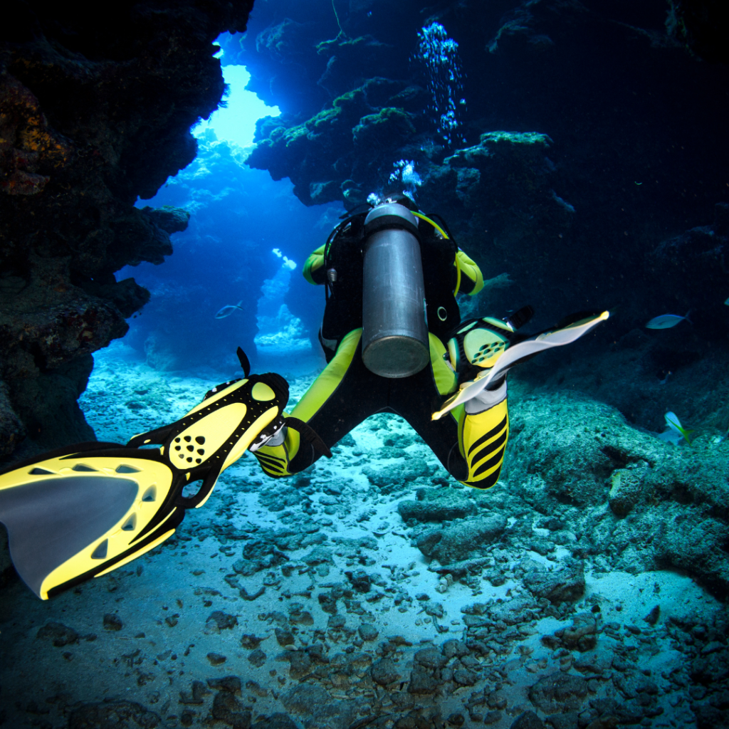 PADI Advanced Diver Roatan Octopus Dive School