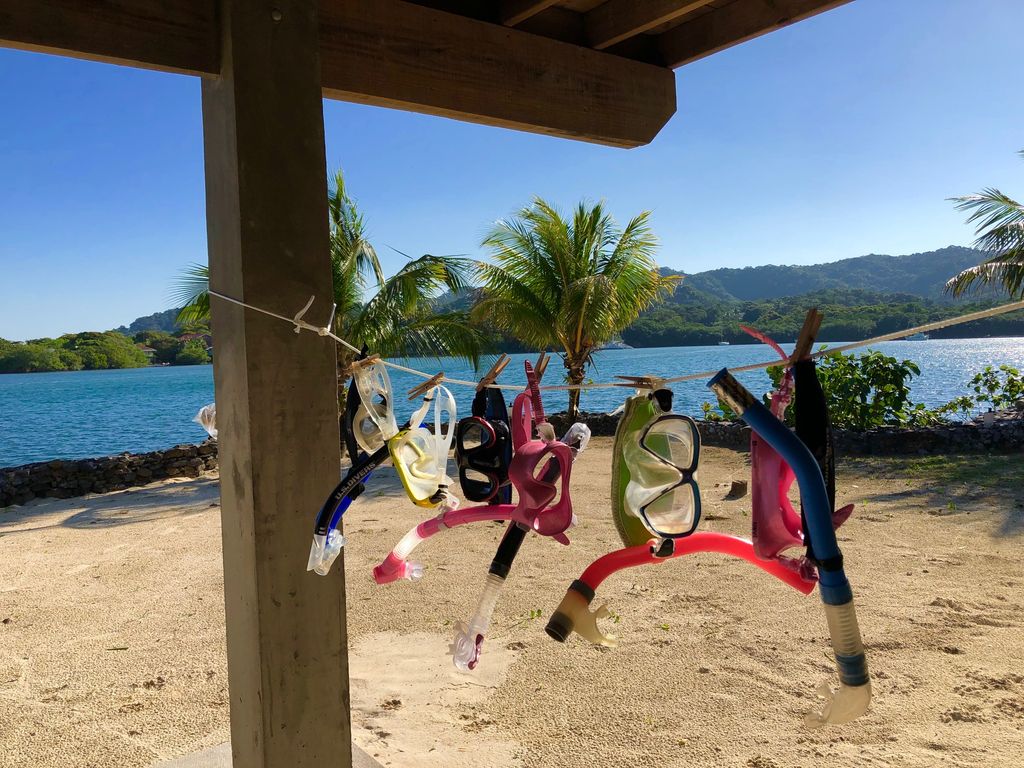 Kokomo Roatan Oceanfront Paradise Octopus Dive School