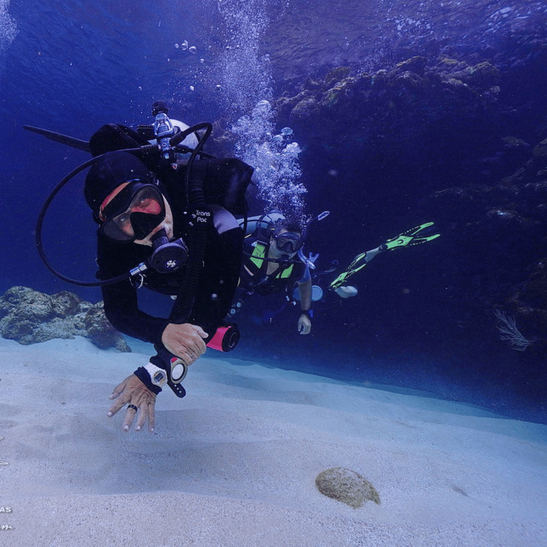 How to Get Your PADI Advanced Open Water Certification in Roatan, Honduras Octopus Dive School
