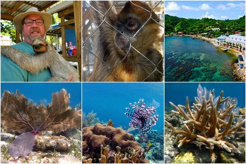 Your BEST experience on Roatan Roatan Anderson Tours Your BEST