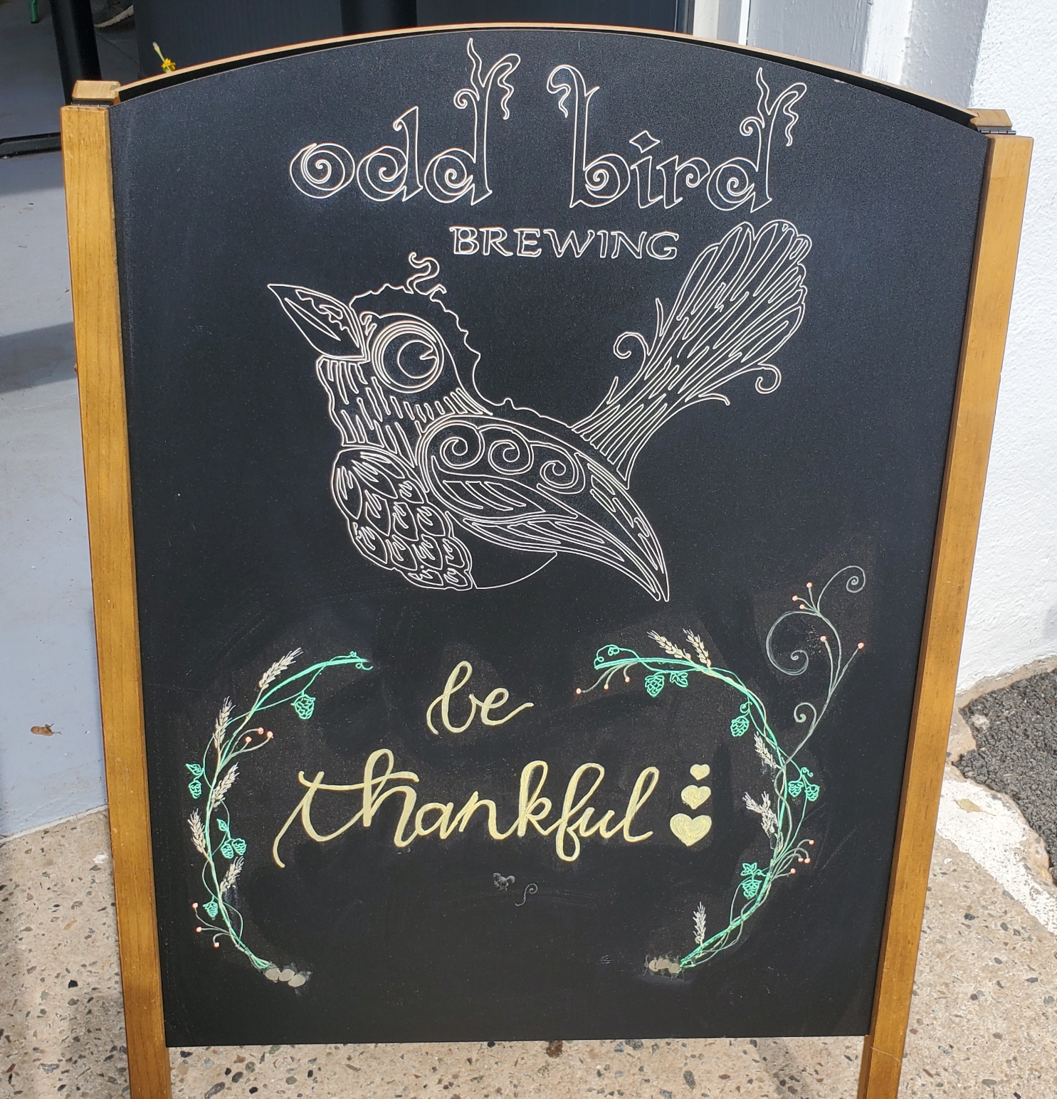 Draught Diversions Odd Bird Brewing (Stockton, NJ) The Tap Takeover