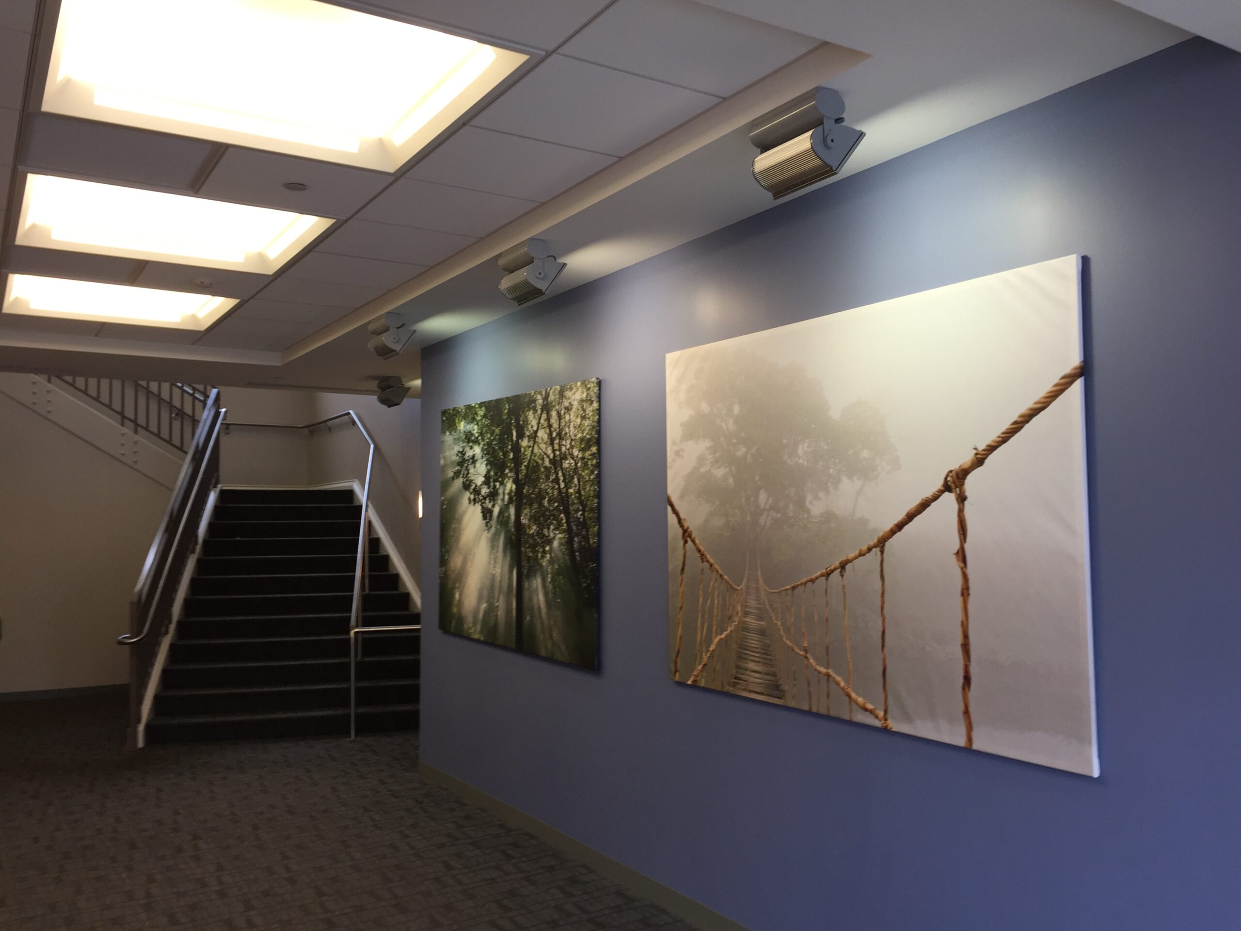 Retail Space for Lease │ Bryn Mawr, PA │ The Robbins Companies