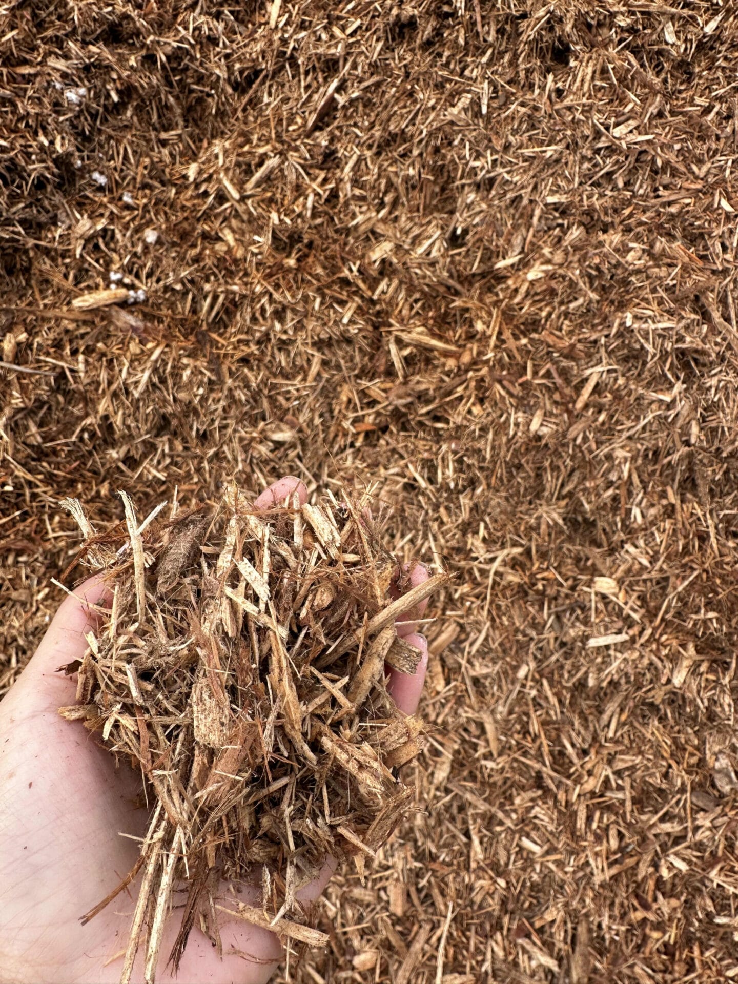 CYPRESS MULCH IN BULK Robbins Nursery