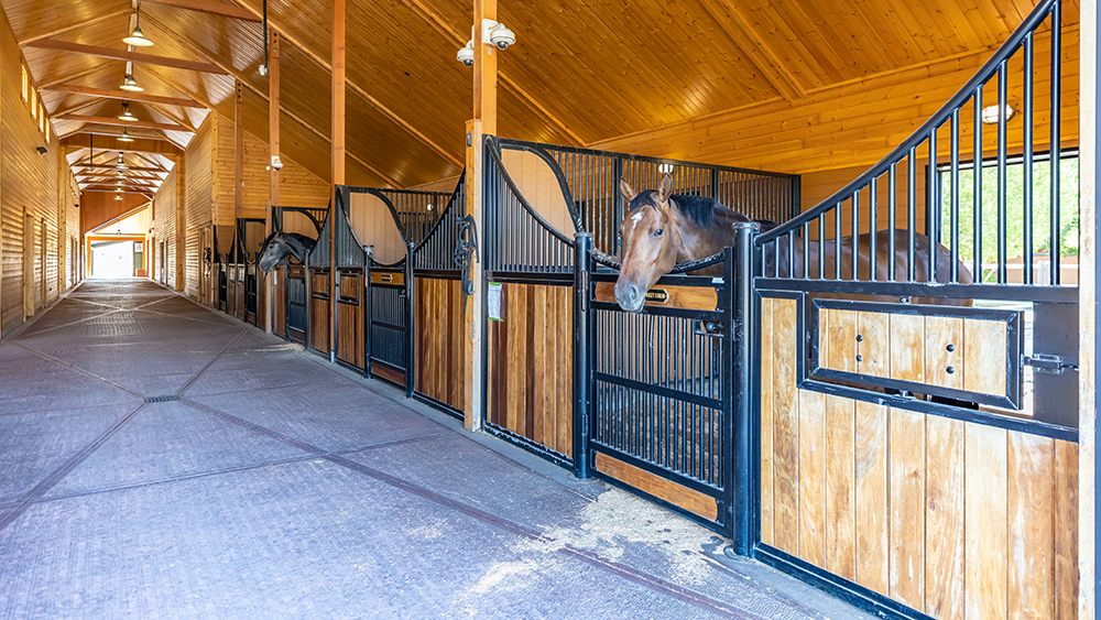 Barb Ellison Lists 200Acre Oregon Horse Farm for 19.5M