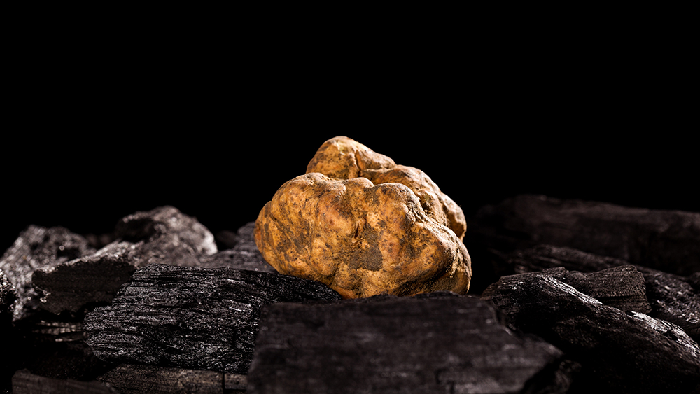 A Shortage of White Truffles Is Pushing Prices to About 4,500 a Pound