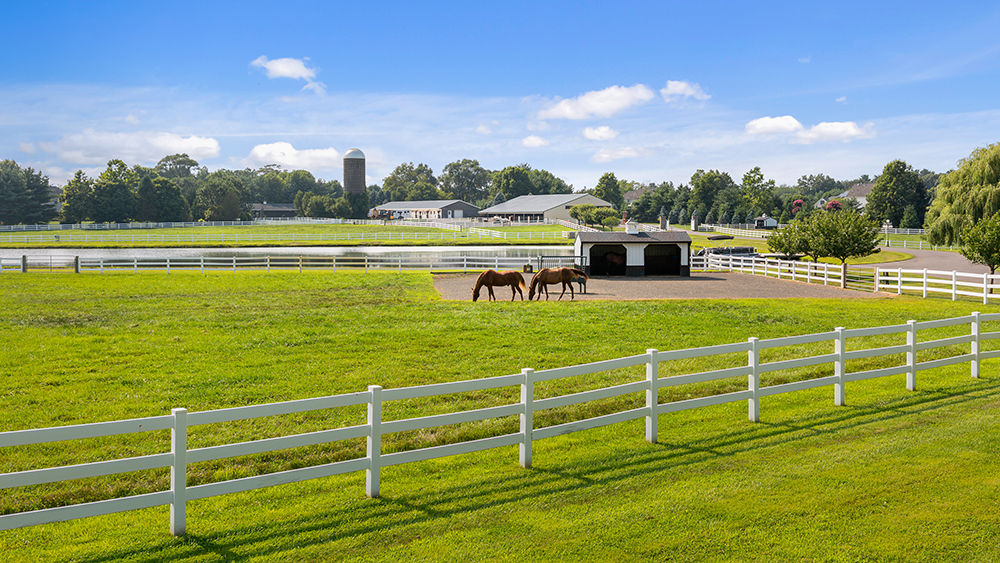 Inside a 27.5 Million Gilded New Jersey Equestrian Estate