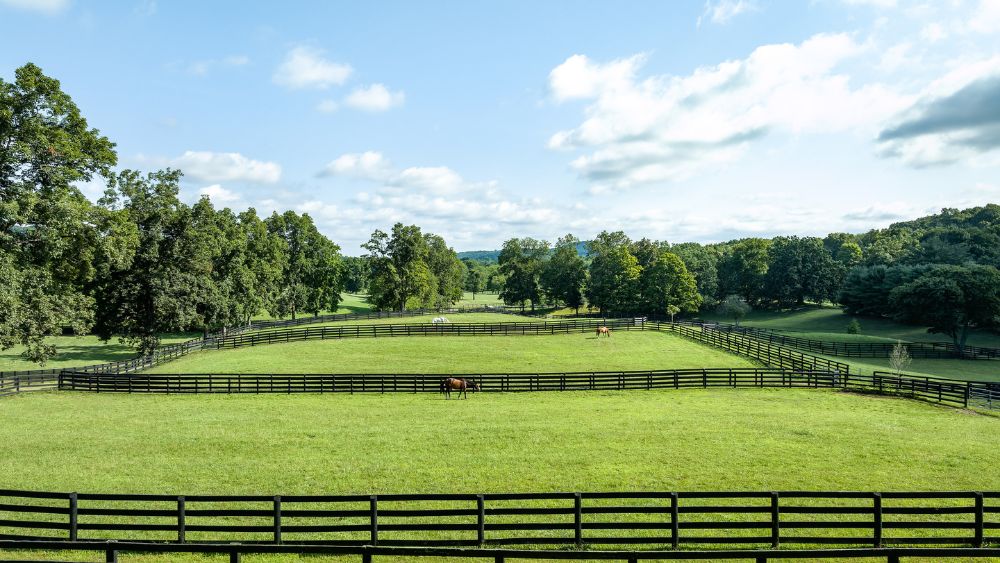 Sunnyfield Farm in Photos