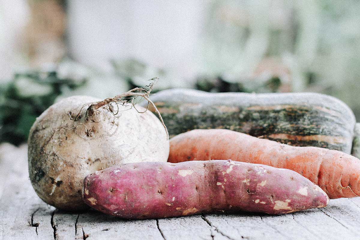 organicrootvegetables Health and Wellness