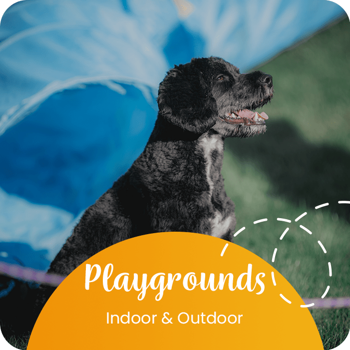 Rob Cary Pet Resort Dog Boarding and More in San Antonio, TX!