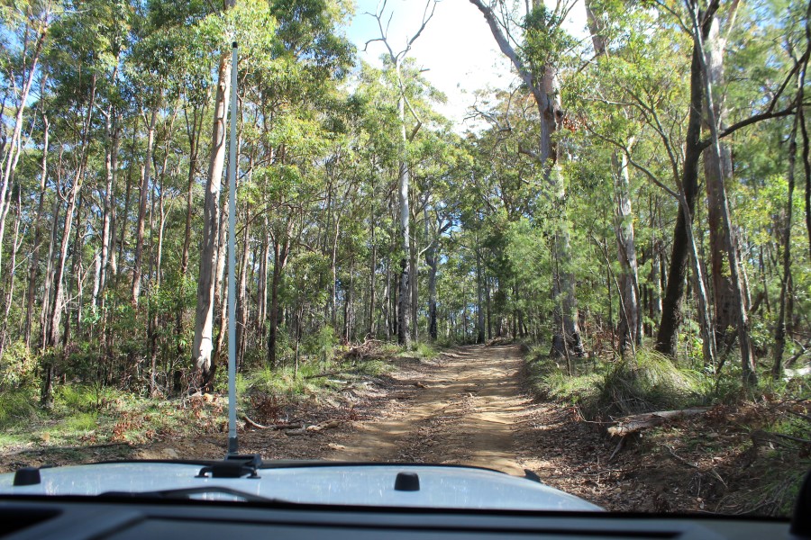 Kroombit Tops National Park