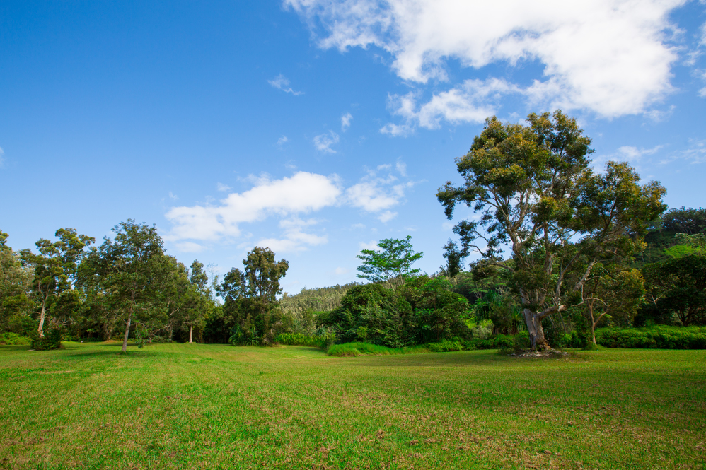 North Shore Kauai Land for Sale Roberta Haas