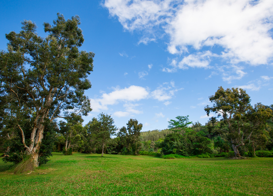North Shore Kauai Land for Sale Roberta Haas