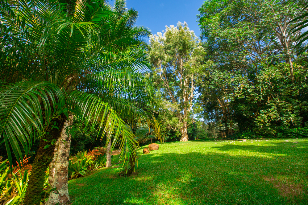 North Shore Kauai Land for Sale Roberta Haas