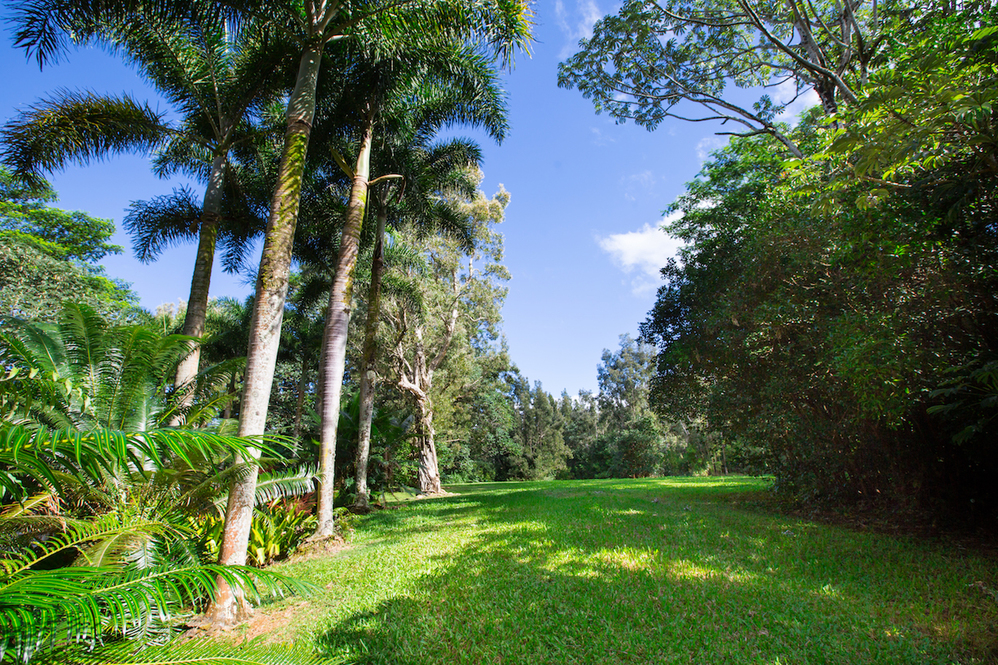 North Shore Kauai Land for Sale Roberta Haas