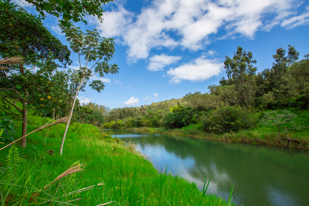 North Shore Kauai Land for Sale Roberta Haas