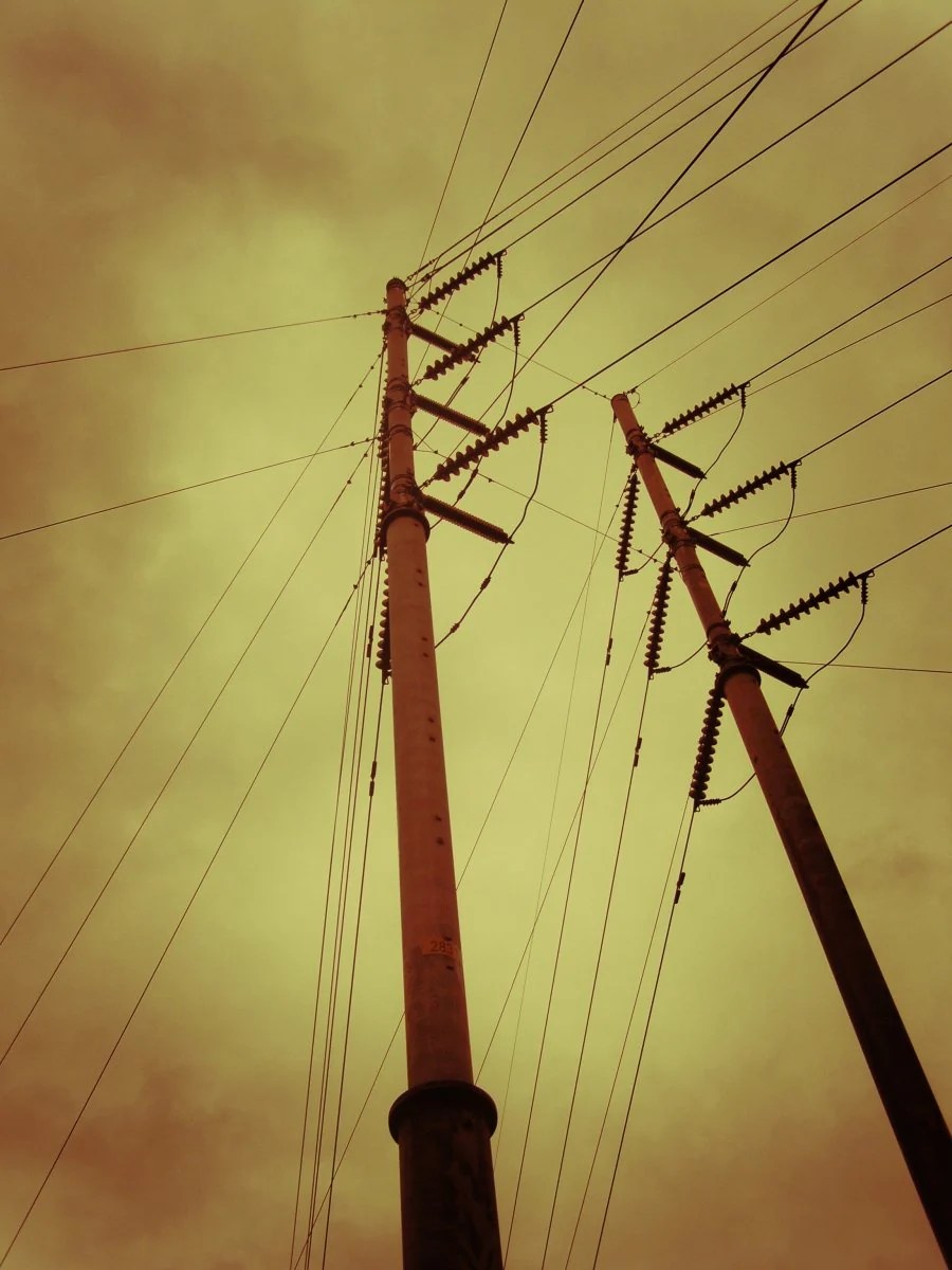 Naturally Urban V2 (6)