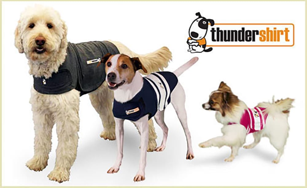 Are Thunder Shirts Good For Dogs