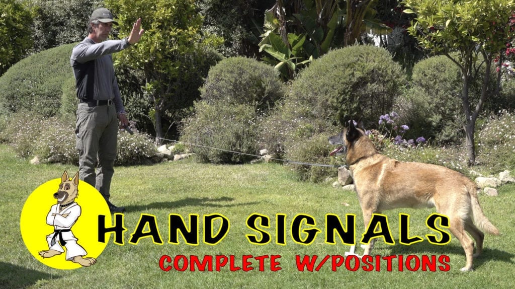 Dog Obedience Hand Signals Chart