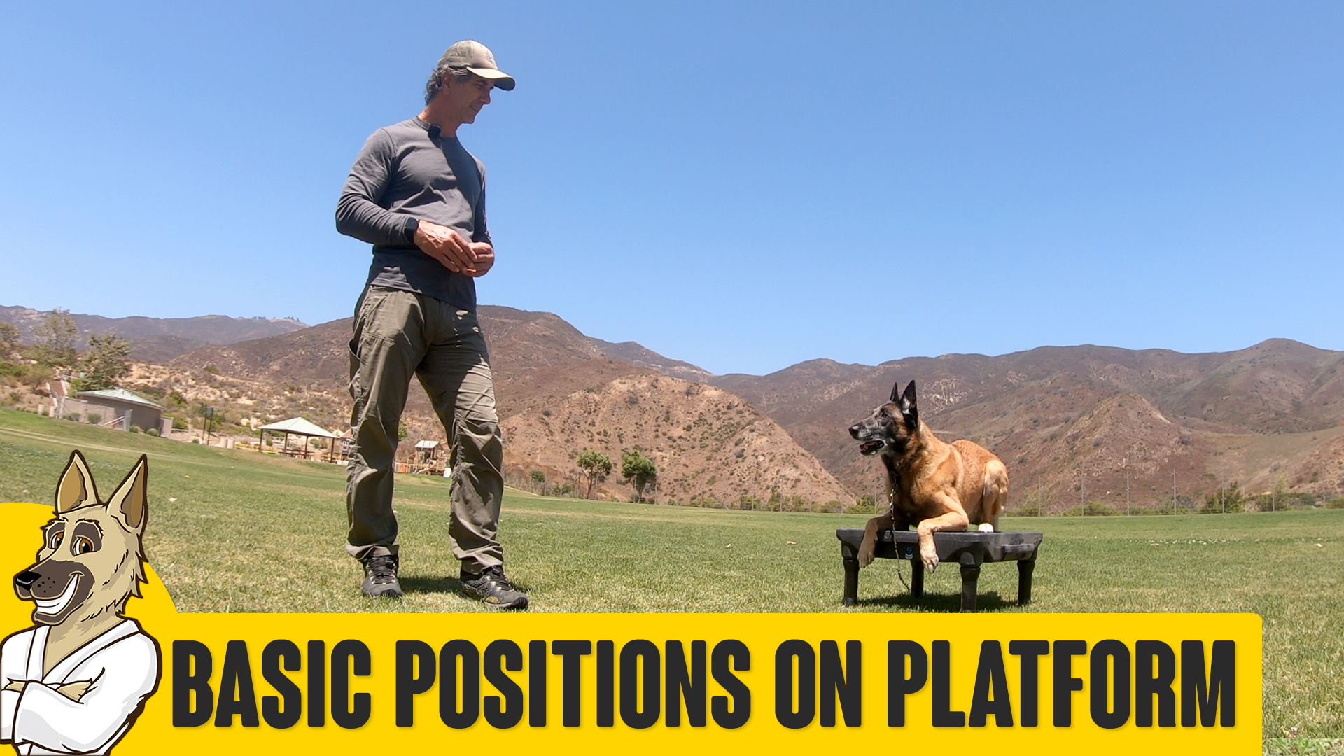 Online Dog Training Over 100 different video lessons and