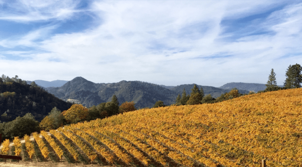 Candlestick Ridge Estate Vineyard, Howell Mountain Robert Craig Winery
