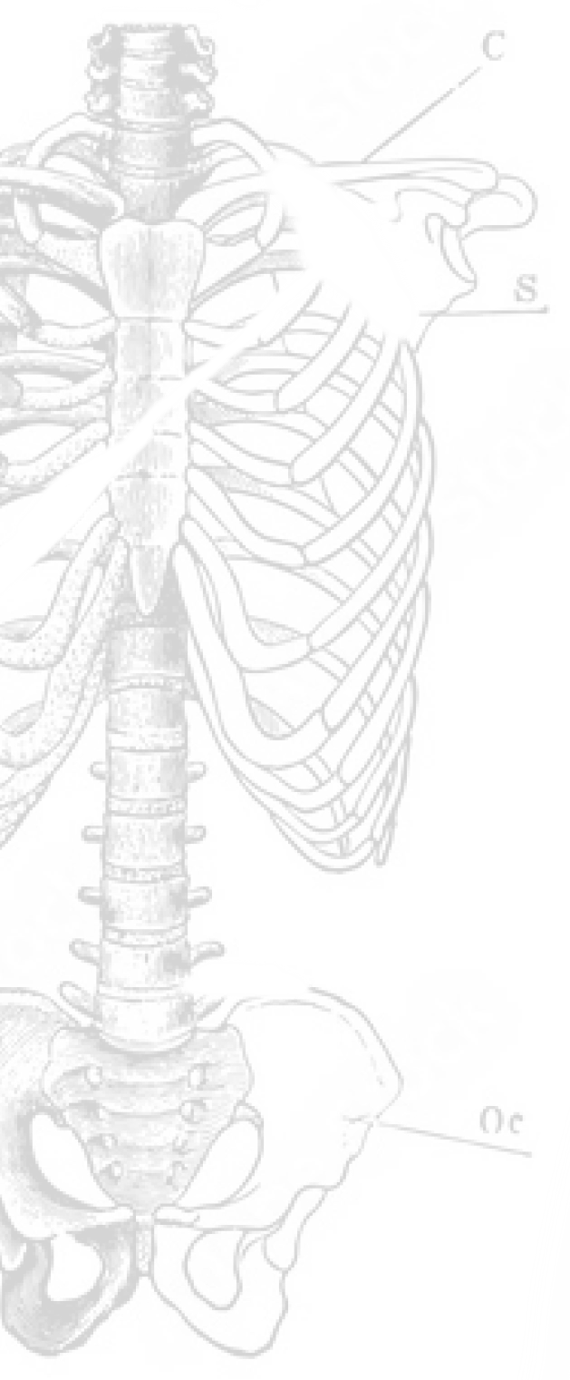 Robert Fraser • Orthopaedic Surgeon in Durban • Book an Appointment