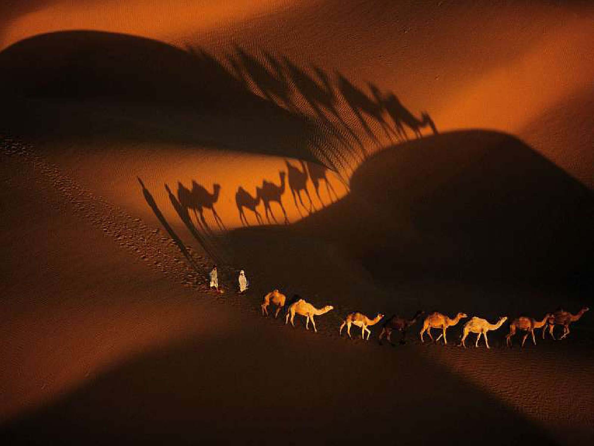 Best Picture of the Year