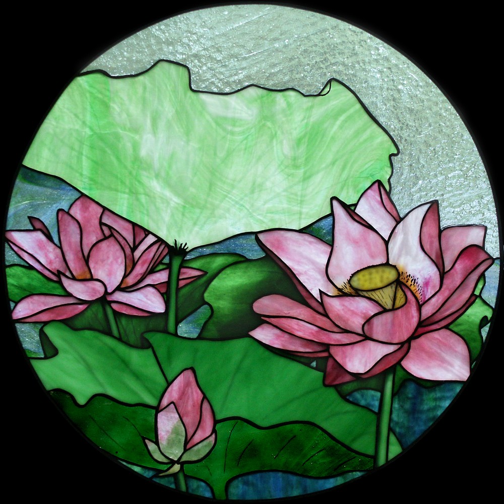 Water Lily Robert Oddy