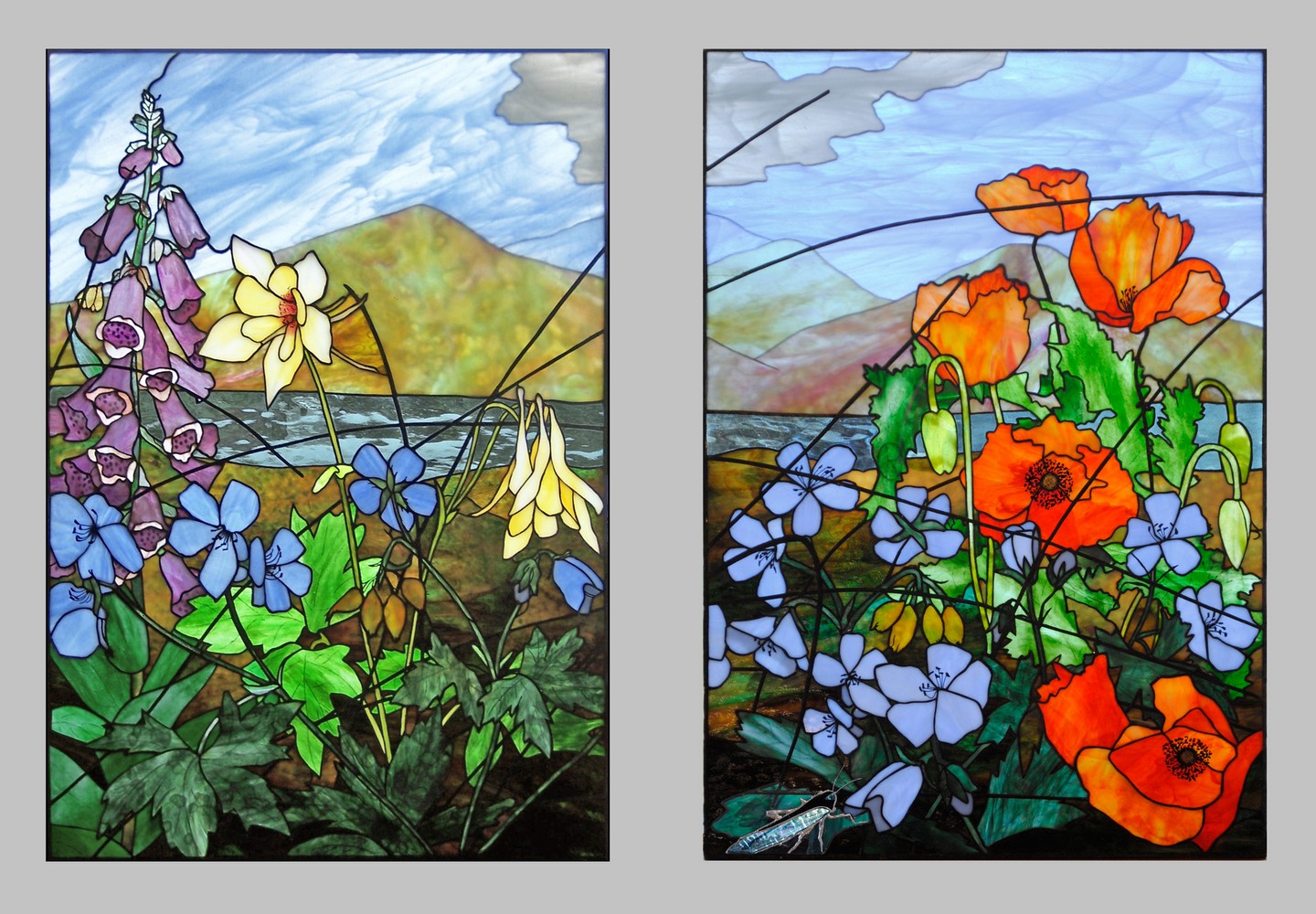 Wildflowers 2 Robert Oddy