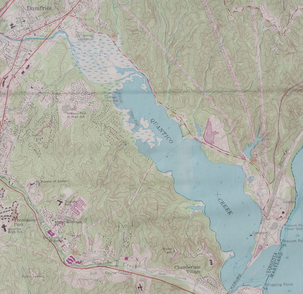 Bird Photography of Quantico Creek Virginia