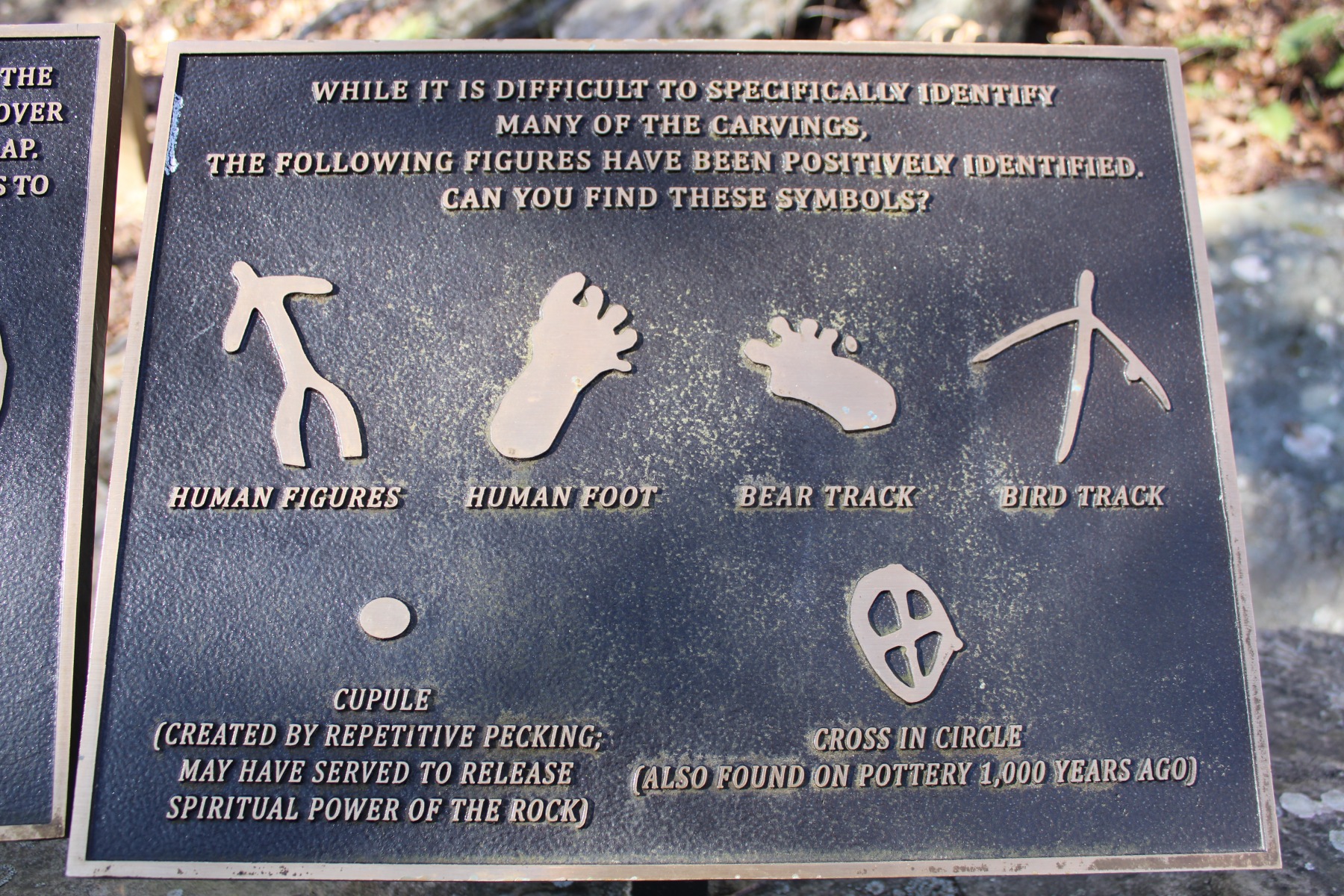 The Ancient Track Rock Petroglyphs in the ChattahoocheeOconee National