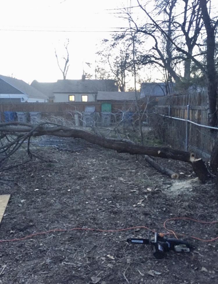  Robert Shaw Construction, Inc.