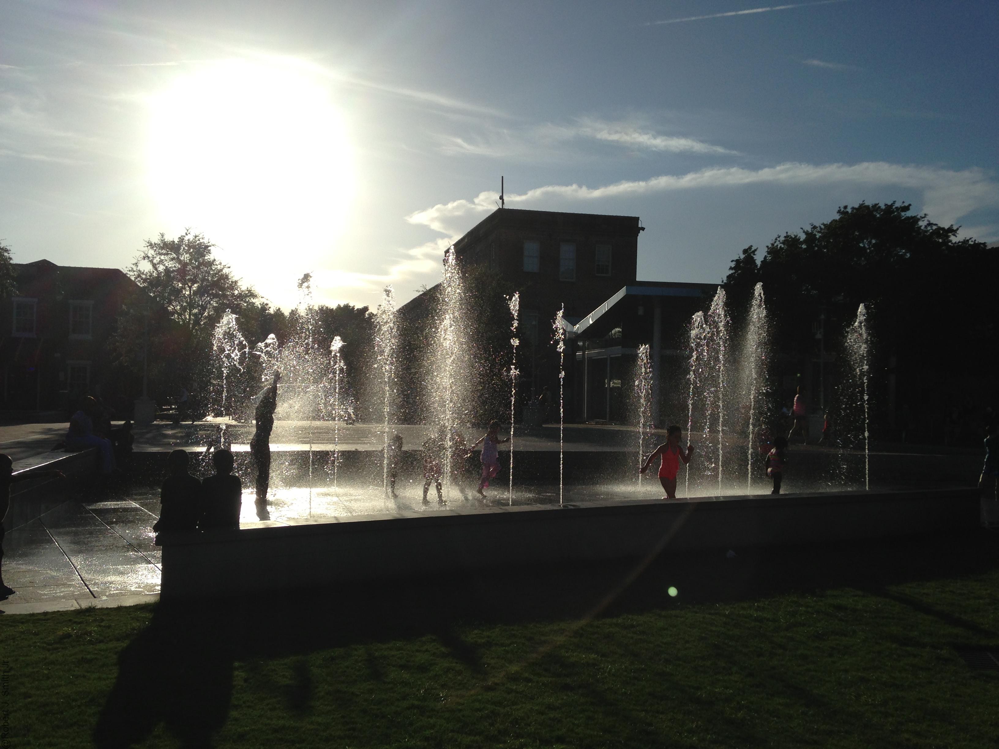 Savannah Summer Splash Robert's Snap Spot