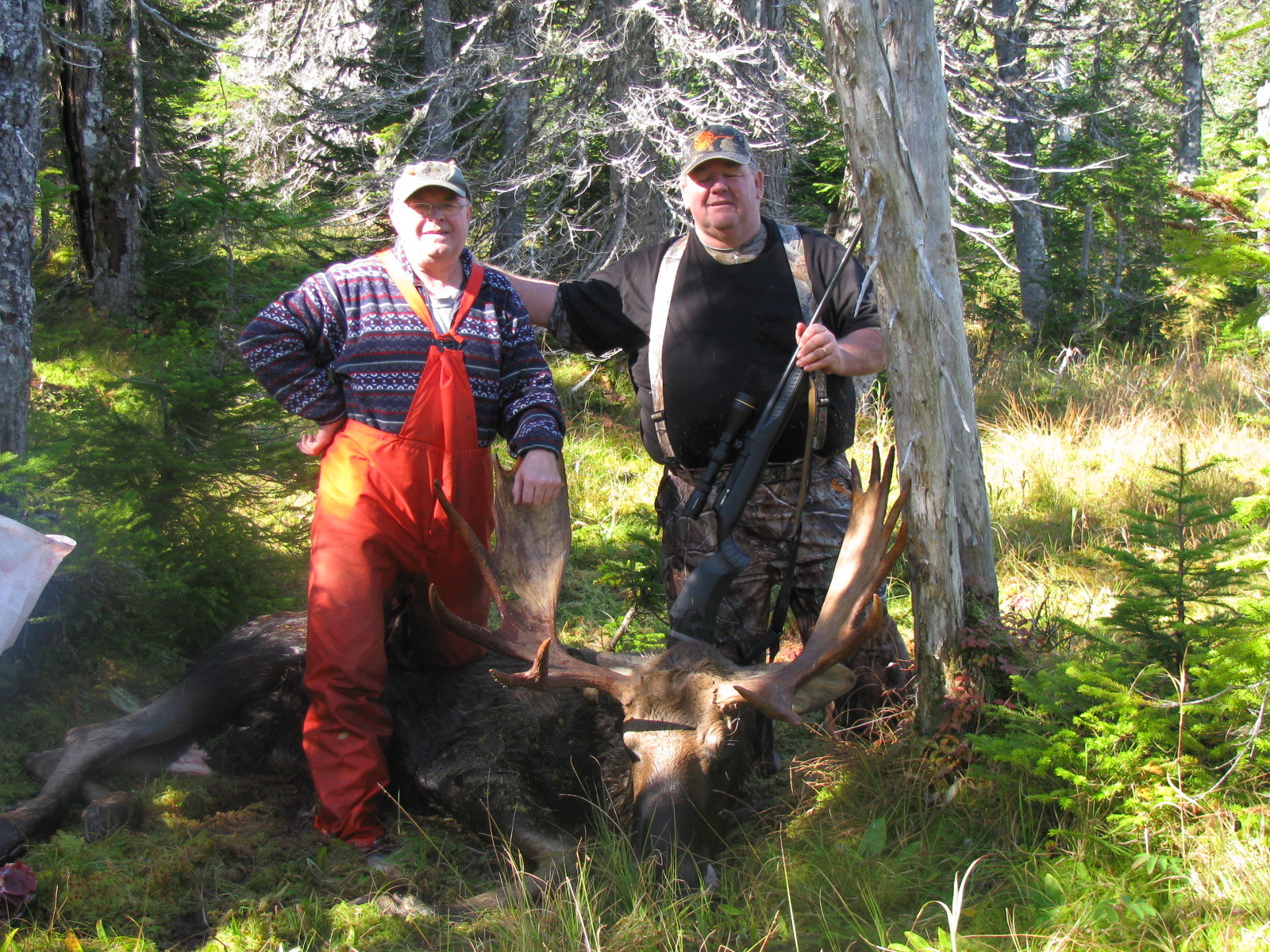 Eastern Canadian Moose Roberts' Outfitting