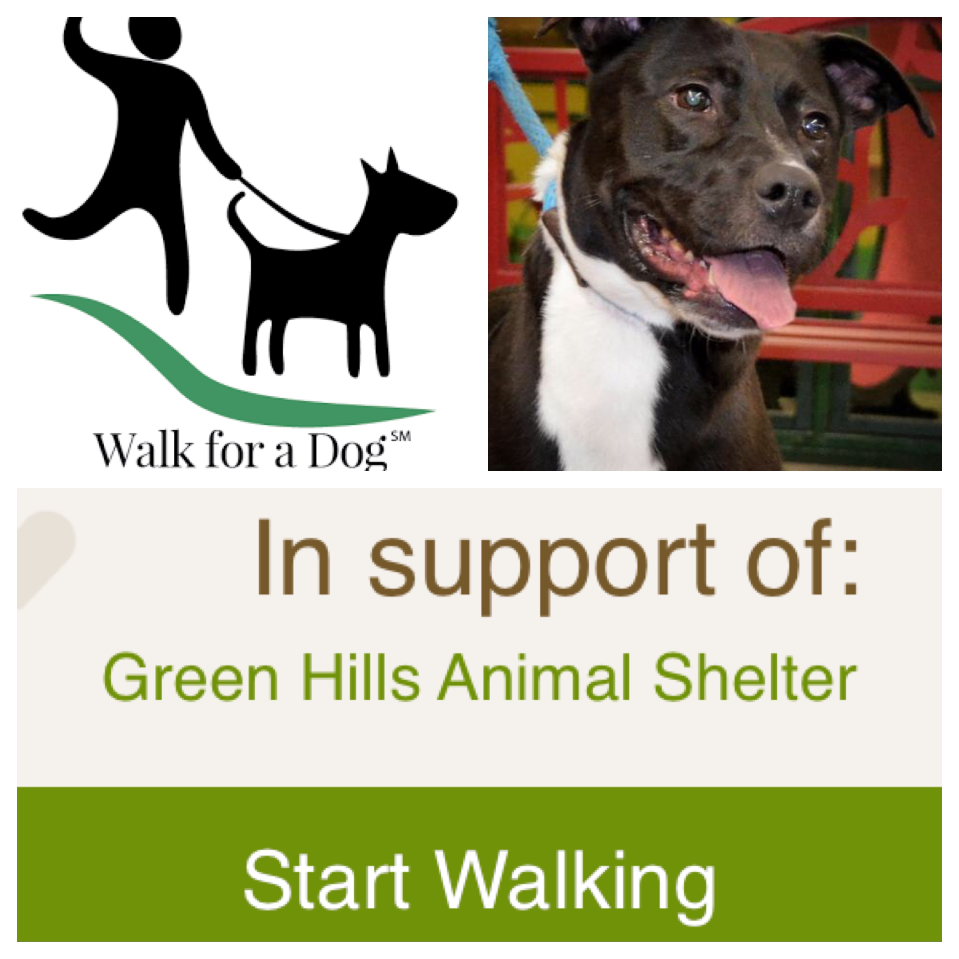 "Walk For A Dog" Review Animal Shelter App Reviews