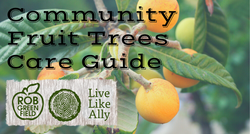 Community Fruit Tree Care Guide