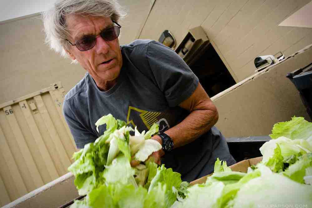 dumpster diving lars essay