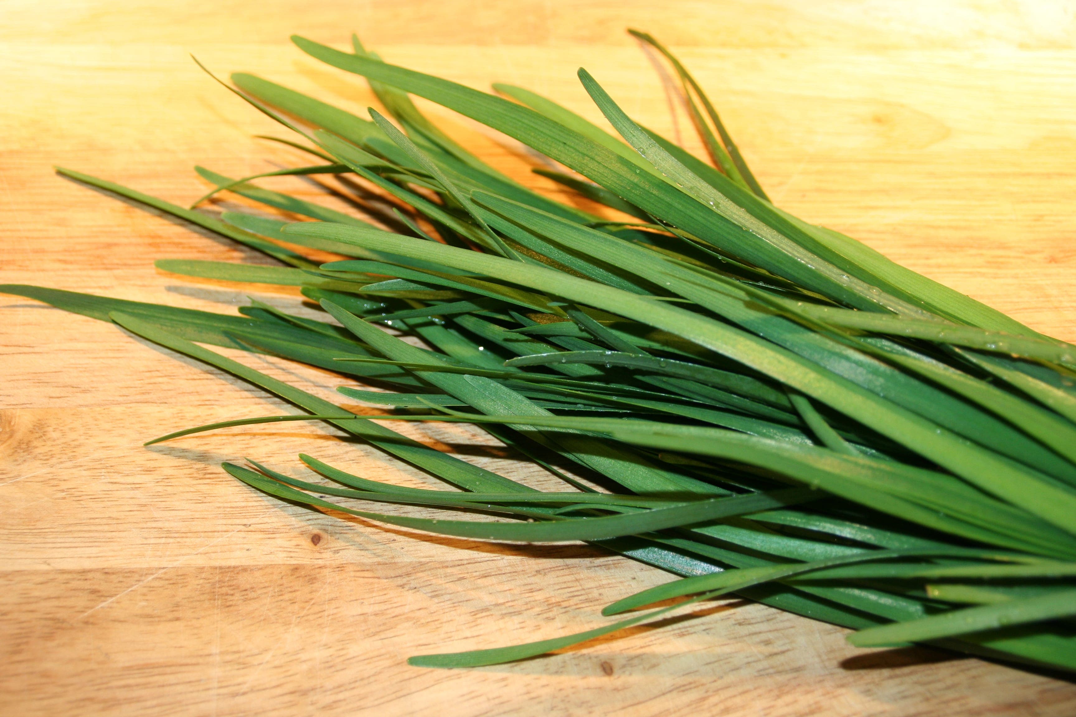 Spring Chives, Spreading Like Green Wildfire Chef and Author Robin Asbell