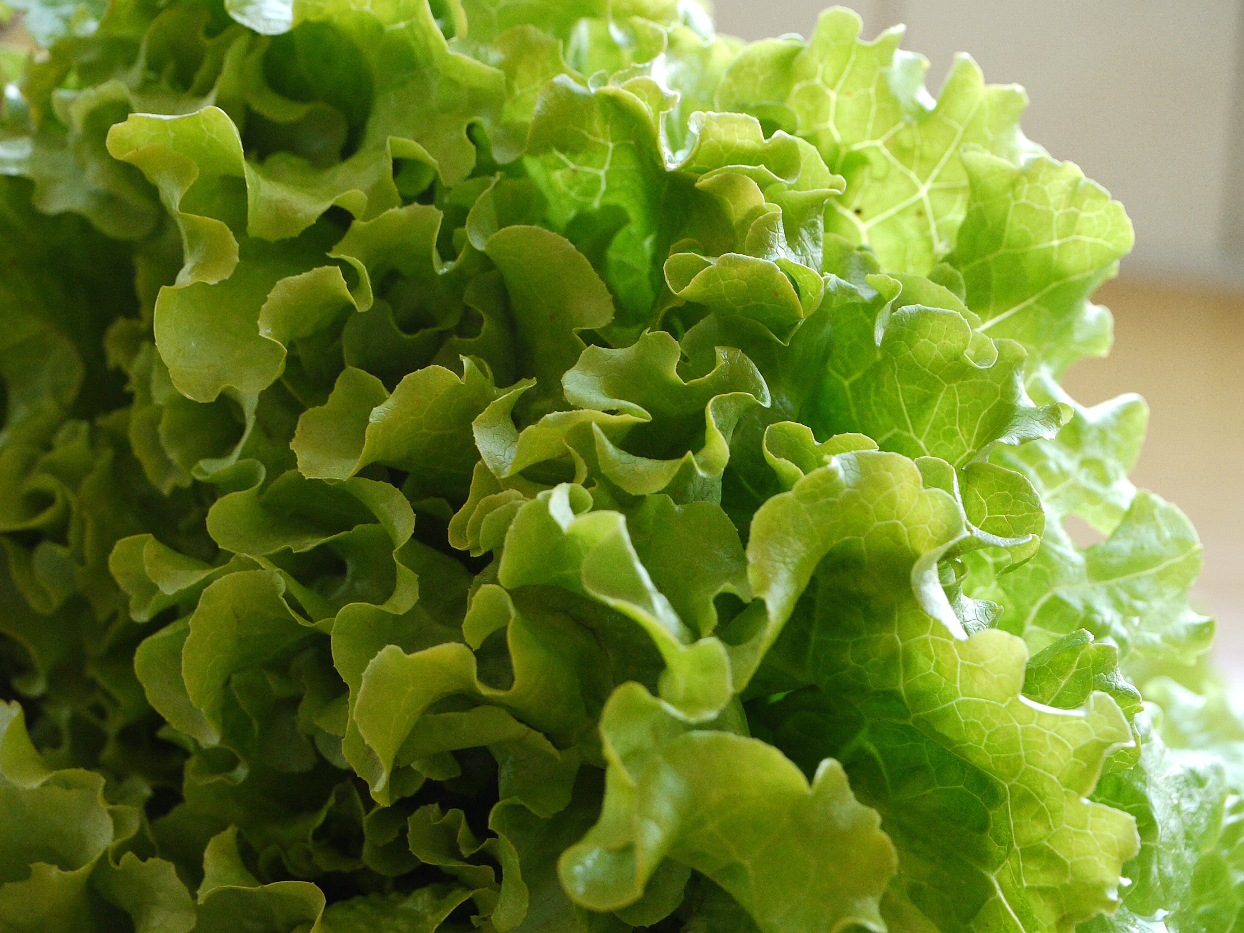 The Truth About Weight Gain, and The Nutty Salad Chef and Author