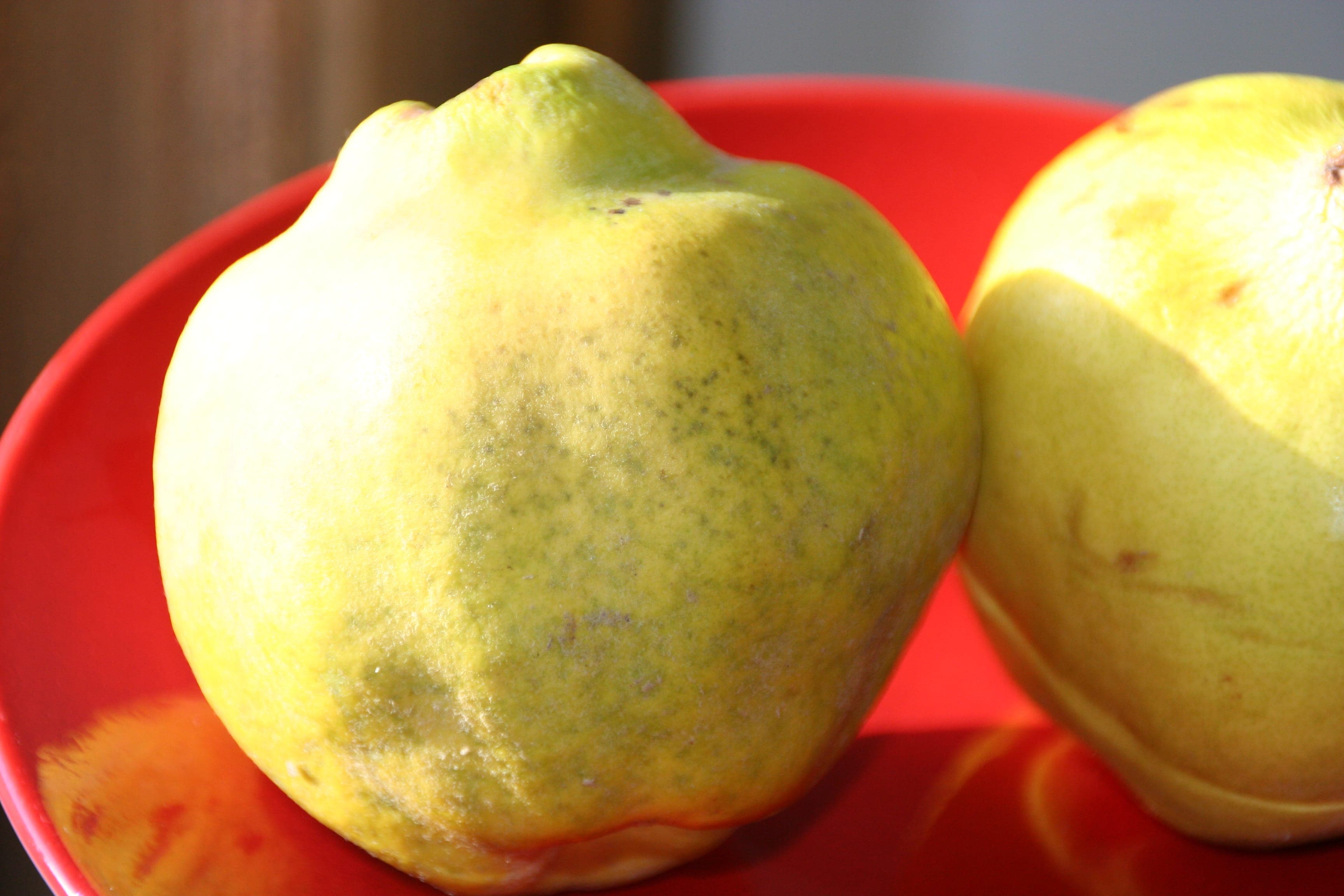 The Perfumed Fruit, Quince Stewed with Vanilla Chef and Author Robin