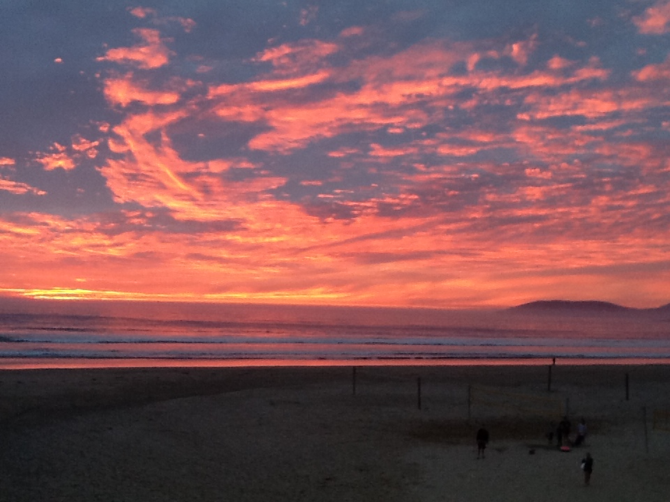 Exhuberant Dogs at Pismo Beach Puppy Tales