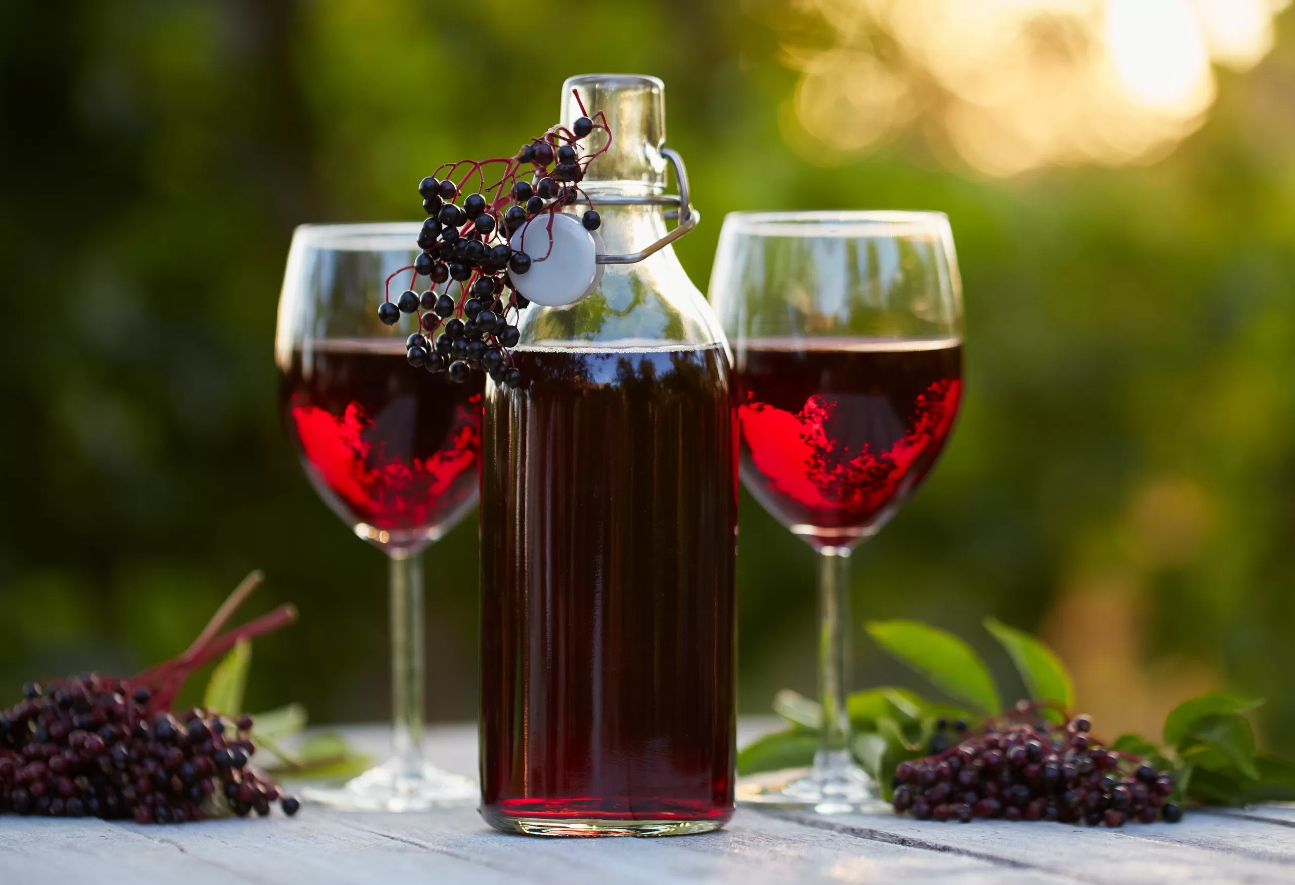 What is Fruit Wine? in Grand Rapids