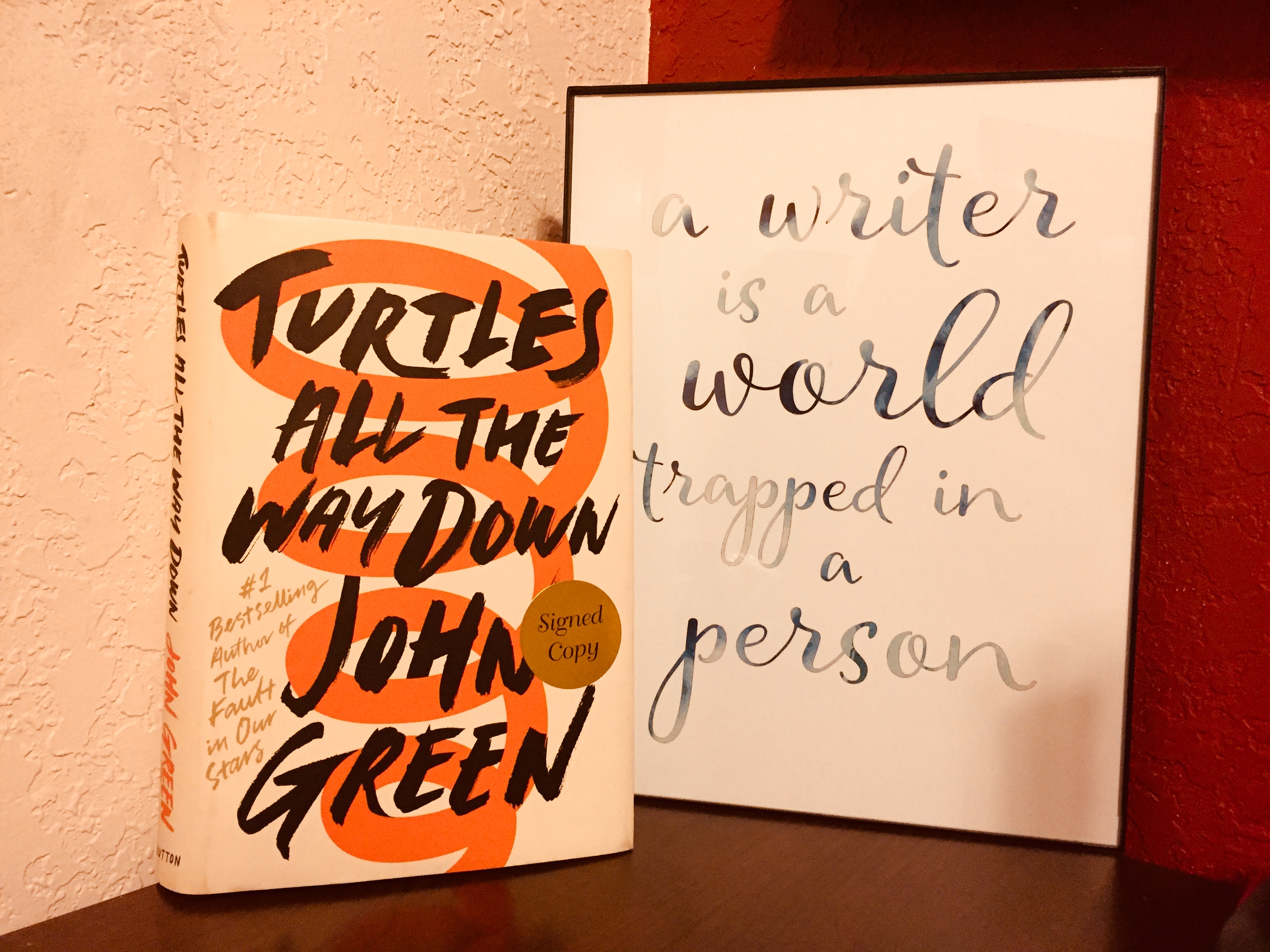 Book review Turtles All the Way Down (Spoiler Free