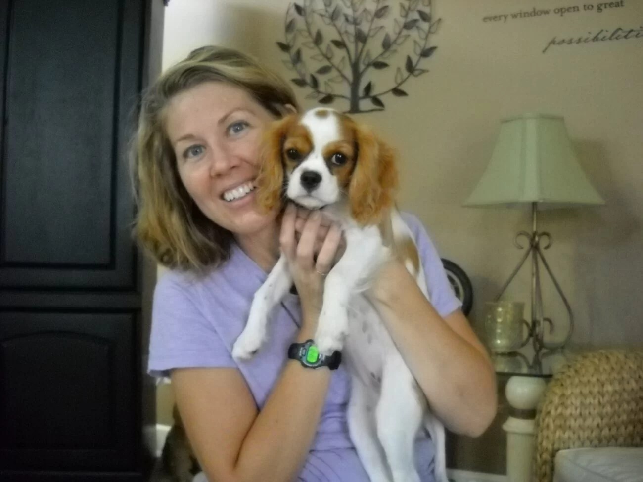 Remote collar training gets young dogs off to a great start Dog